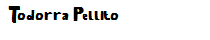 Todorra Pellito